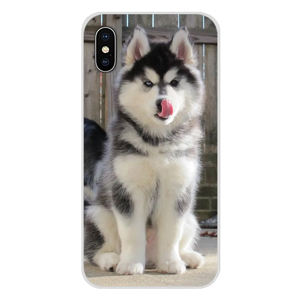 Аксессуары чехлы для телефонов Чехлы с животными Хаски щенок Samsung Galaxy J1 J2 J3 J4 J5 J6 J7