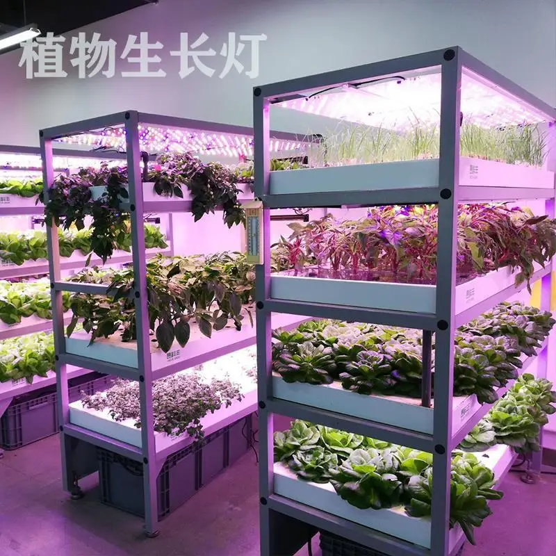 light plant growth indoor greenhouse full spectrum sunlight hydroponic tissue culture led grow lights  фитолампа  flower lights