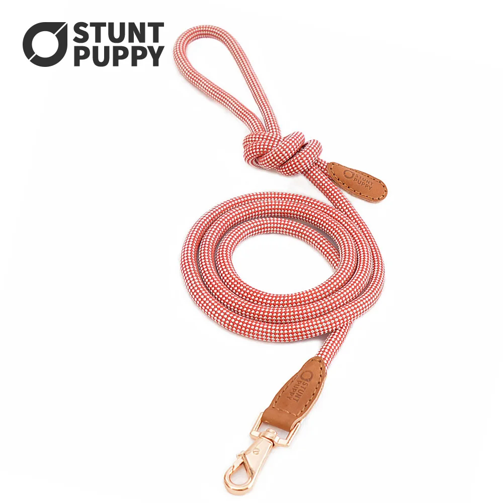 

Трюковый щенок Dupont шелковая веревка для лазания поводок для собак легкая прогулка Большая Собака Щенок поводок для домашних животных ошейн...