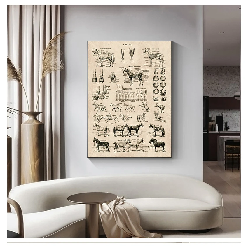 

Prints Biology Wall Art Decor , Horse Illustration Animal Poster Canvas Painting Office Decor Vintage French Horse Anatomy Chart