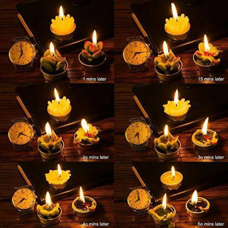 

6pcs Artificial Succulent Plants Cactus Candle For Birthday Party Wedding Site Decoration Candlelight Decorative Accessories Z