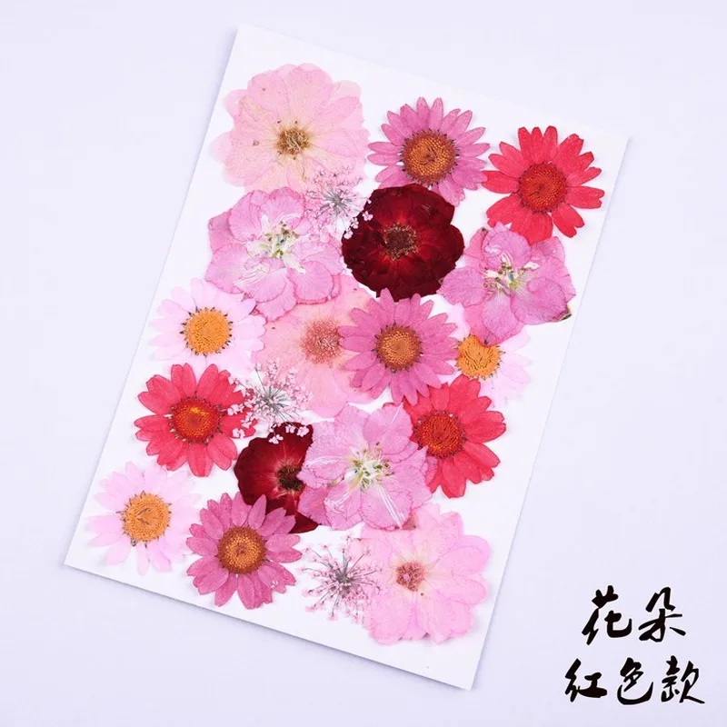 20pcs/pack Red Dried Flowers Pressed Flowers DIY Resin Mold Fills Epoxy UV Handmade Craft Nail Art Decoration For Jewelry Making
