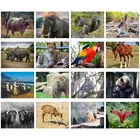 Белка попугай 5D Сделай Сам полная квадратная Круглая Мозаика наклейка Алмазная вышивка дикие животные леопард полярный медведь алмазная живопись искусство