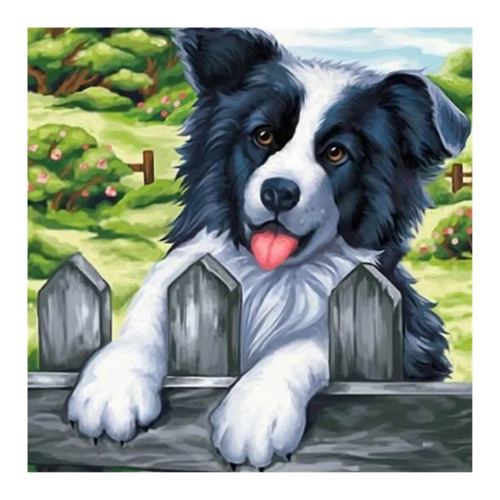 Алмазная живопись Border Collie животное круглая полная вышивка мозаика для