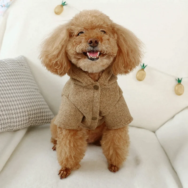Пальто для собак толстовка с капюшоном Зимняя Одежда питомцев костюм щенков