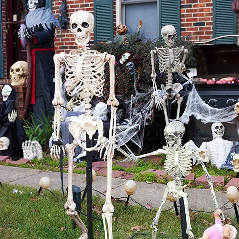 Пластиковый скелет для Хэллоуина 90 см человека анатомическая модель скелета