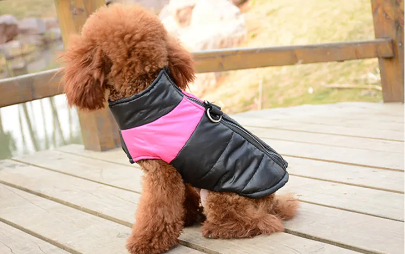 Winter Warm Pet Dog Vest Clothes Goods Waterproof Zip-up Coat Jacket For Small Dogs Puppy Cat Raincoat Apparel DOGGYZSTYLE