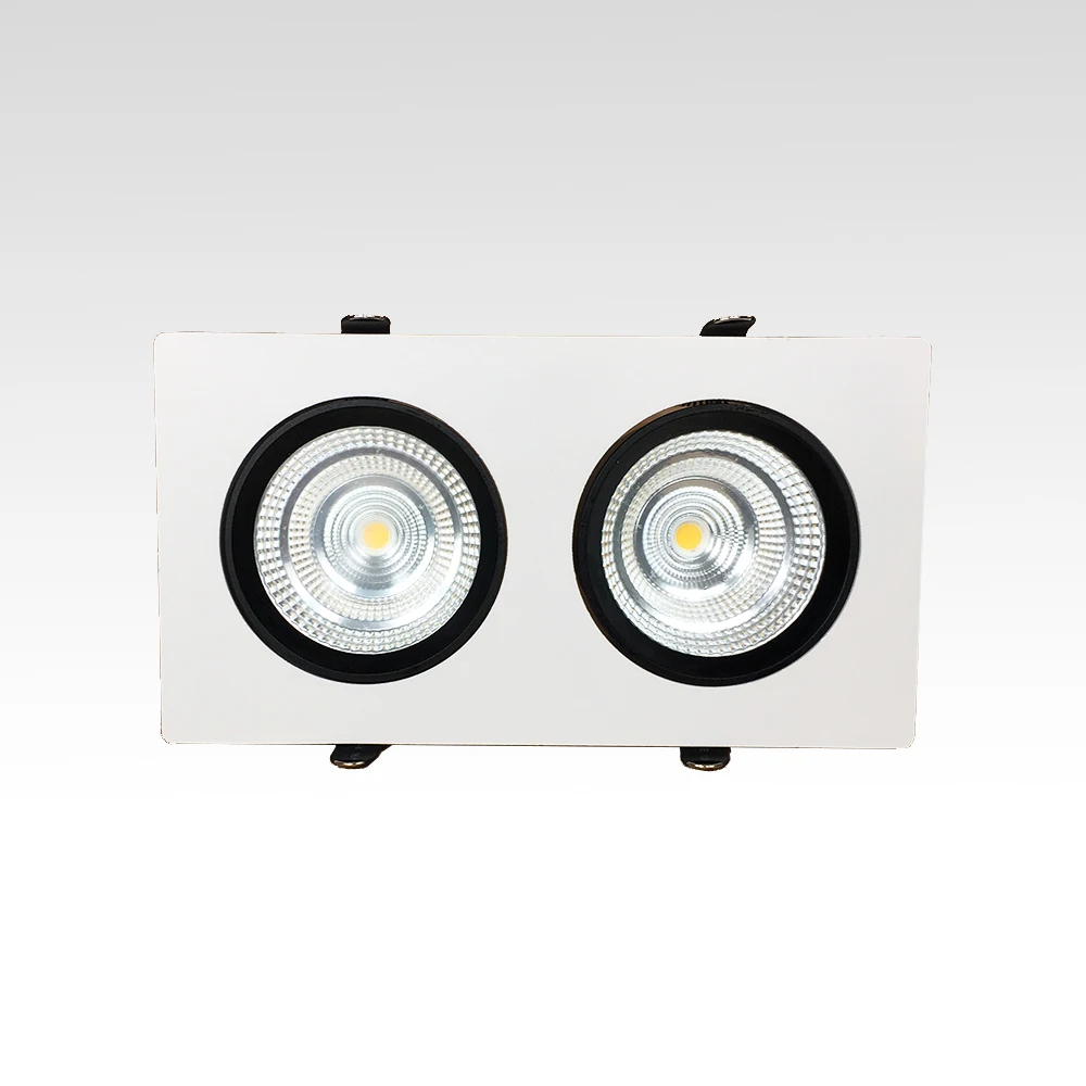 

Dimmable 0-10V Double Lights 2x10W 2x15W Recessed LED Downlight Rectangle Panel Lamp Adjusting