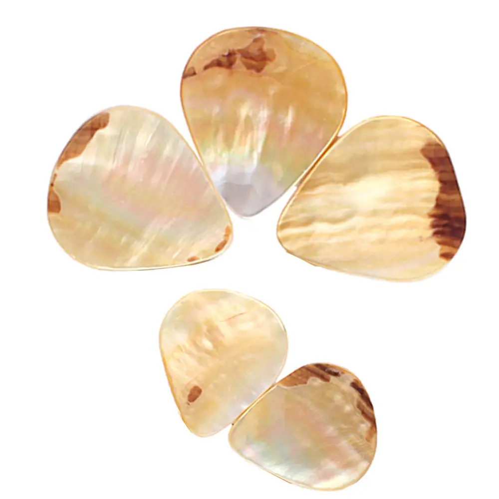 

5 Pcs Guitar Pick Acoustic Picks Smooth Plectrum Guitar Accessories