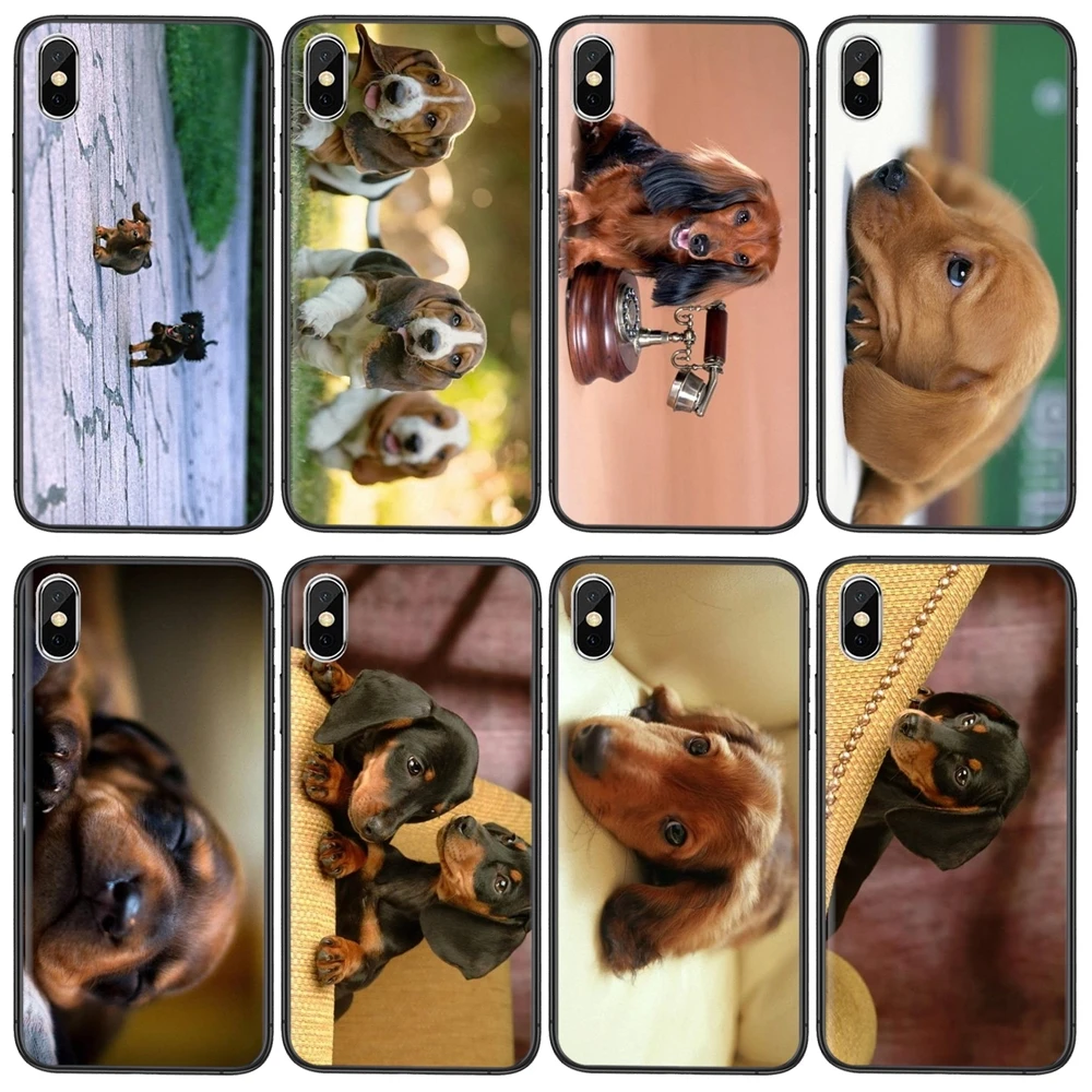 Забавные Собака Такса дешевые мужские для Galaxy Note 20 10 9 8 Ultra Samsung M51 M31 A7 A8 J6 J8 2018 A10S A11