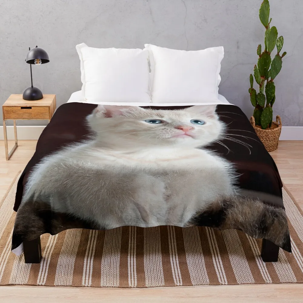 

Ультрамягкое удобное легкое Фланелевое флисовое покрывало из микрофибры для котят, всесезонное теплое одеяло для гостиной/спальни