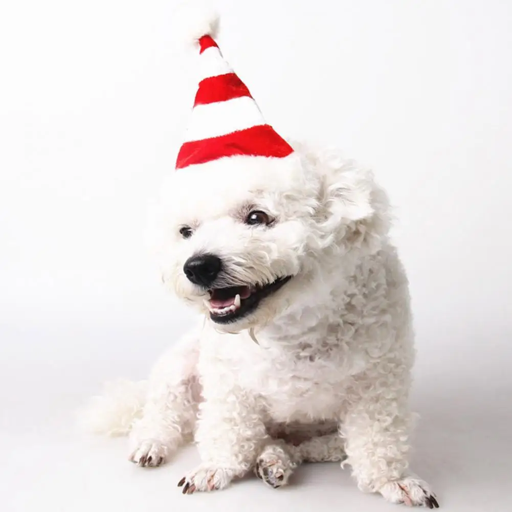 

Мягкая Красивая облегающая шапочка для щенка, элегантные аксессуары для домашних животных