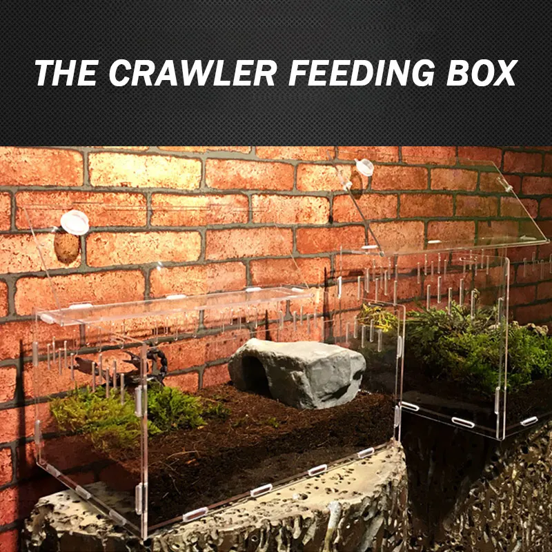 1 шт. акриловый прозрачный Террариум рептилии Жилая коробка для питомцев