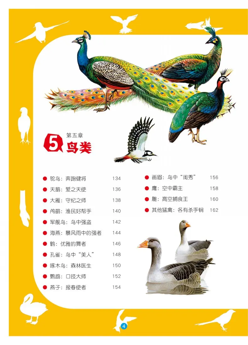 Китайская Детская энциклопедия животных книга для студентов открытие животного