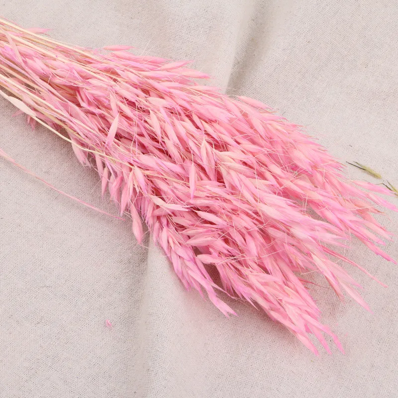 

Natural Dried Plant Oats Ears Accessories Interior For Home Wedding Decoration DIY Craft Pampas Pastoral of Wheat