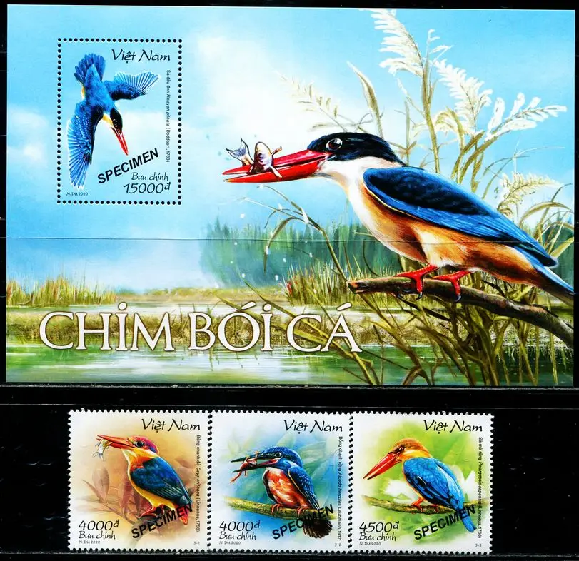 

Vietnam Post Stamp,3 PCS and 1 PC Souvenir Sheet,Bird Stamps,Animal Stamp,High Quaility,Real Original,Good Condition Collection