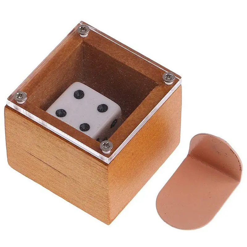 Предсказание магических шоу кости в коробке волшебные советы для сцены|Кубики| |