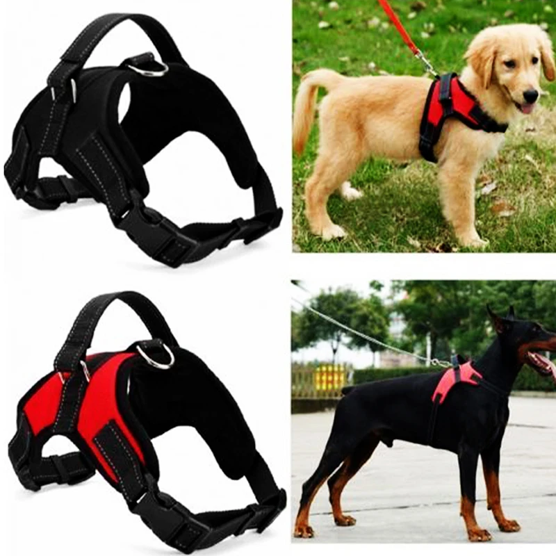 Шлейка для собак с поводком летняя Регулируемая жилетка прогулок щенком ремень