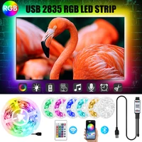 rgb 2835 led strips light bluetooth infrared controller white warm flexible tape decoration backlight lamp night luminous string