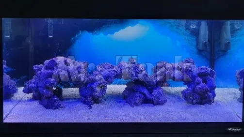 3d-стикер Mr.Tank с эффектом подводного солнечного света пещера аквариум