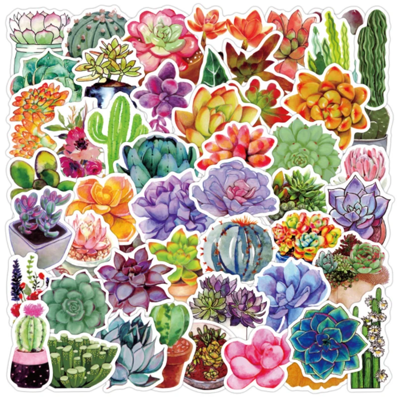 

50 pcs succulent plants Graffiti Waterproof Skateboard Travel Suitcase Phone Laptop Luggage Stickers Cute Kids Girl Toys