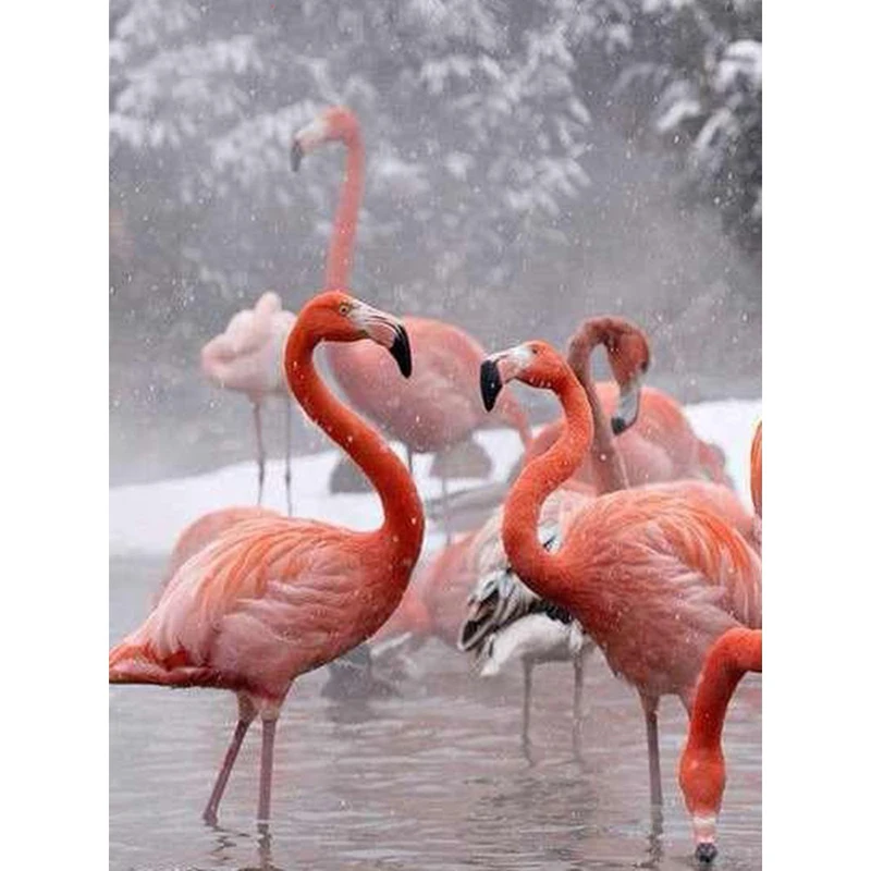 

Картина из страз с изображением фламинго, квадратных животных, 5d, алмазная вышивка, стразы, подарок картина, Алмазная мозаика