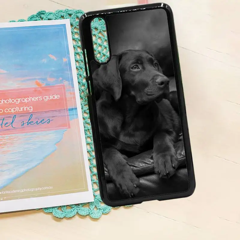 

Sad Labrador Dog cute animal high quality Phone Case shell PC for iPhone 11 12 pro XS MAX 8 7 6 6S Plus X 5S SE 2020 XR