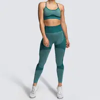 Yoga Wear Women Fitness Suit Workout Clothes Sports Suits Seamless Bra Pants Set Sportswear Top Leggings 2 Piece Gym Apparel