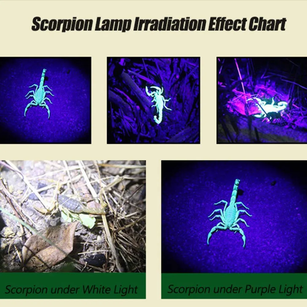 

100 LED Rechargeable Headlight White & UV Light Headlamp USB torch Detector lamp with 18650 battery for Dry Pets Urine&Pet