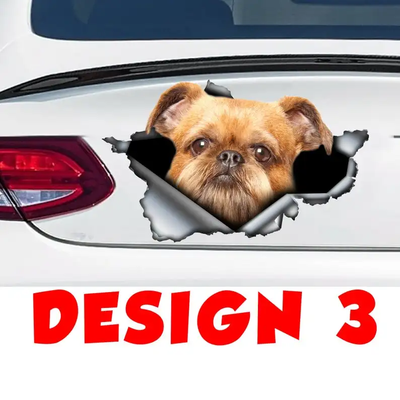 

2021 Brussels Griffon dog car decal, Brussels Griffon dog car sticker, pet decal