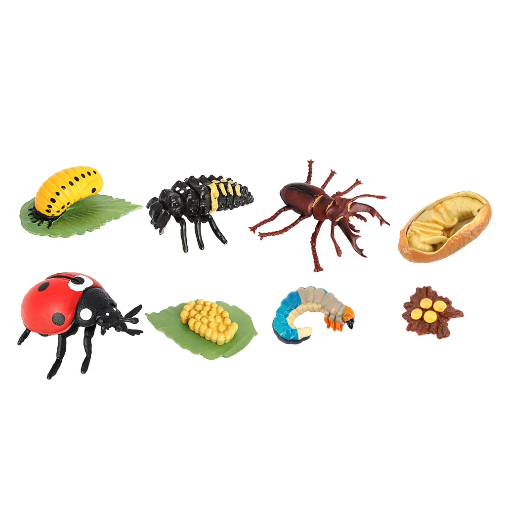 

Life Cycle of a Insect - Includes Egg, Larva, , and Insect Replicas - Educational Hand Painted Figurines for Ages 4 and Up
