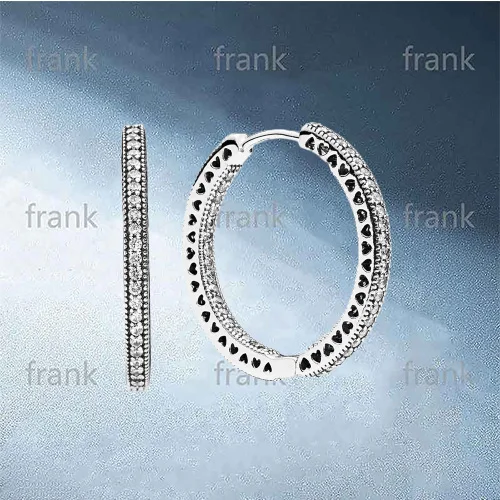 

296319CZ Oorsieraden Harten van