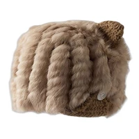 fall winter and south korean versions of the cat ear wool wool cap lovely rabbit hair warm ear lei feng hat