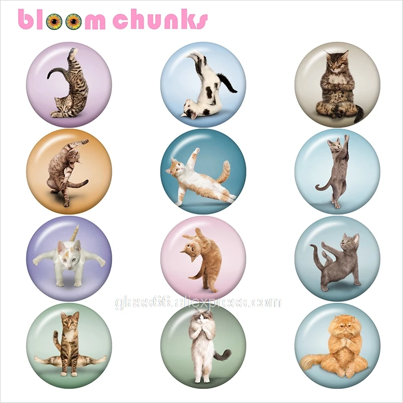 Кошка Йога Горячая 12 мм/18 мм/25 мм/40 мм круглый стеклянный кабошон демонстрационный плоский задний делая результаты TL4012 - Color: 10pcs Mixed Set