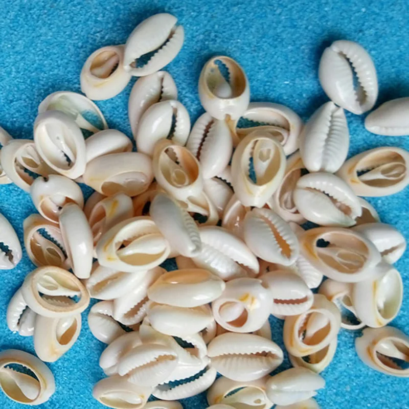 

65pcs 1.6cm within Small Bulk Cut Beach Sea Natural Shell Conch Beads Cowry Cowrie Tribal Jewelery Craft Accessories holes DIY