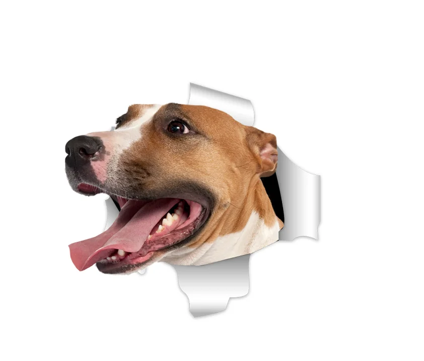 

Dogs Are Man's Most Loyal Friends. for Dog Lovers, and Of Course There Are Also Waterproof Dogs Stickers That Cover Scratches.