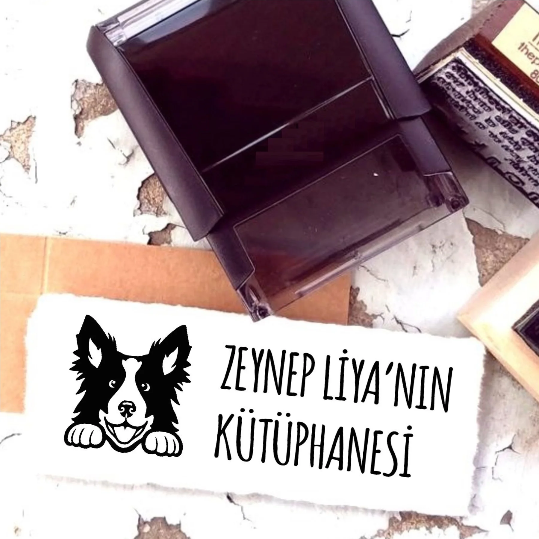 

Индивидуальный дизайн, наименование, написанное штамп для книг-54
