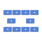 10 шт., Женская Винтажная брошь в виде флага