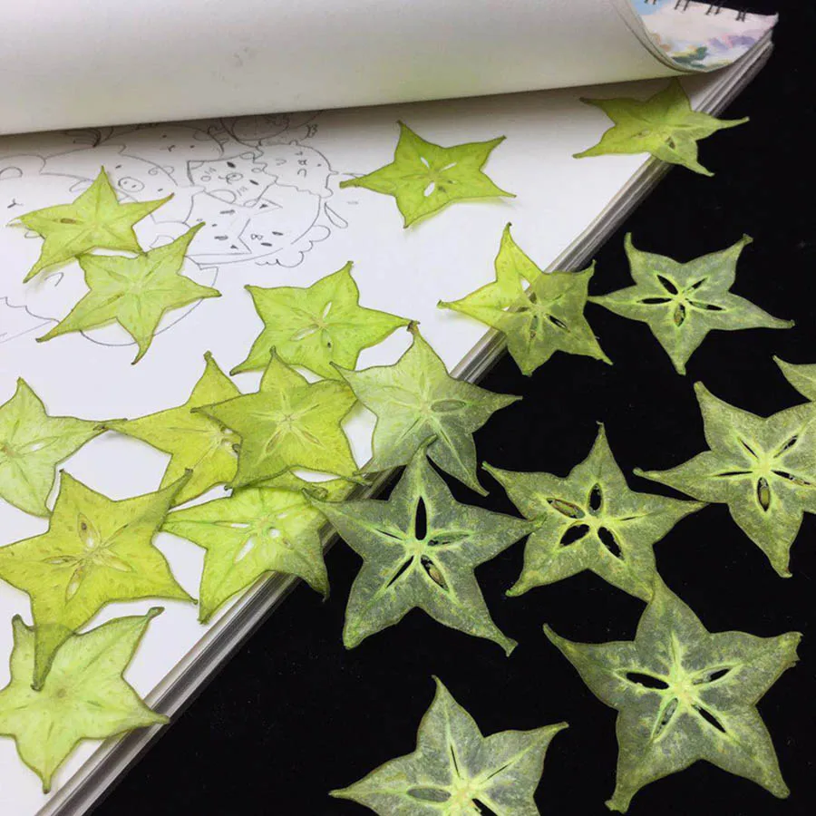 

5pcs Dried Pressed Exopy Dyed Carambola Fruits Slices Plant Herbarium For Photo Frame Phone Case Bookmark Scrapbook Craft DIY