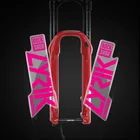 2020 rockshox lyrik передняя вилка наклейки горный велосипед Водонепроницаемый передний свет наклейки на вилке велосипеда украшения прозрачным дном