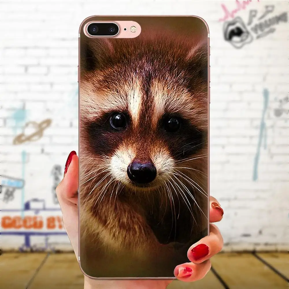 Animal Raccoon Art Coque Back Cases Shockproof For Galaxy J1 J2 J3 J330 J4 J5 J6 J7 J730 J8 2015 2016 2017 2018 mini Pro | Мобильные