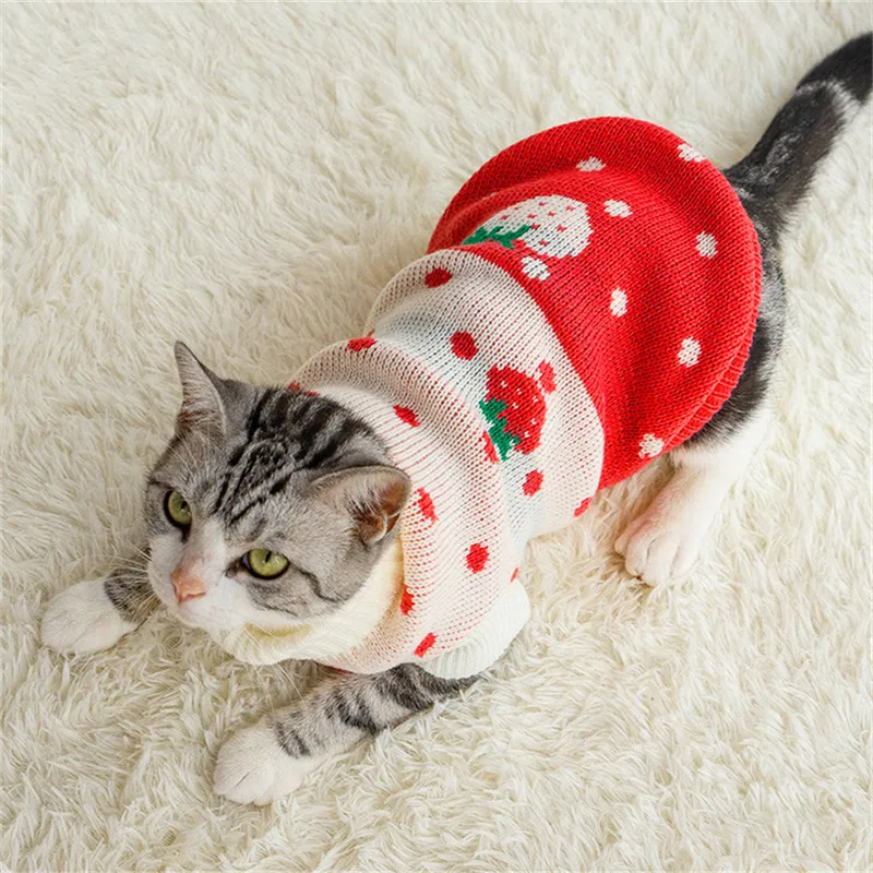 

Pet supplies speed sell pass new wool autumn winter clothes to keep warm and leisure cat general two feet