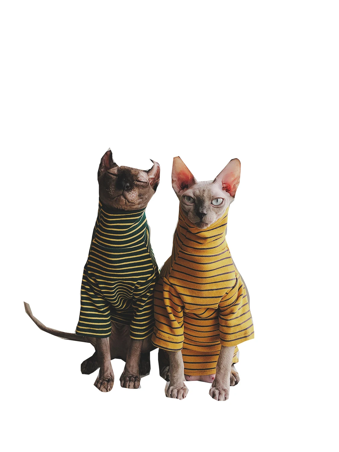 

Stripe Dog Cat Clothes Steefan Sphinx Clothes Devin Literature Lovers Pets Dog Sweater Pet Costume Cat Outfit Clothing Sweater