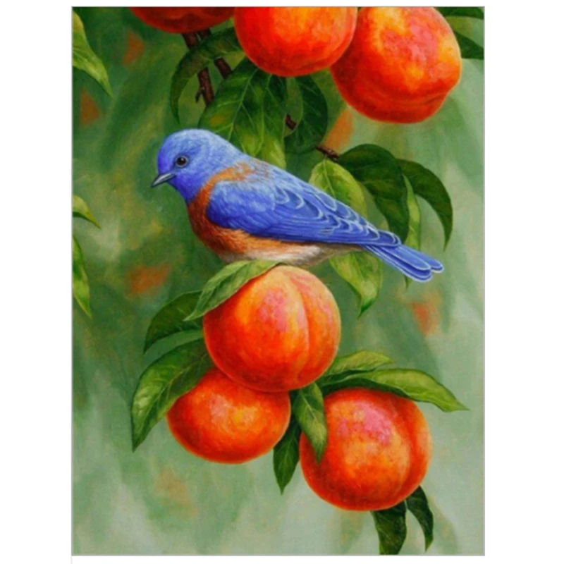 

DIY Diamond Painting Full Diamond Crafts Bird Point Diamond Cross Stitch Decorative Painting Home Decoration Painting