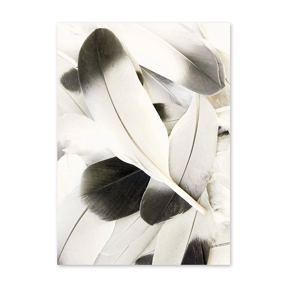 Черно белый Одуванчик перья Постер и печать букв любовь искусство на холсте