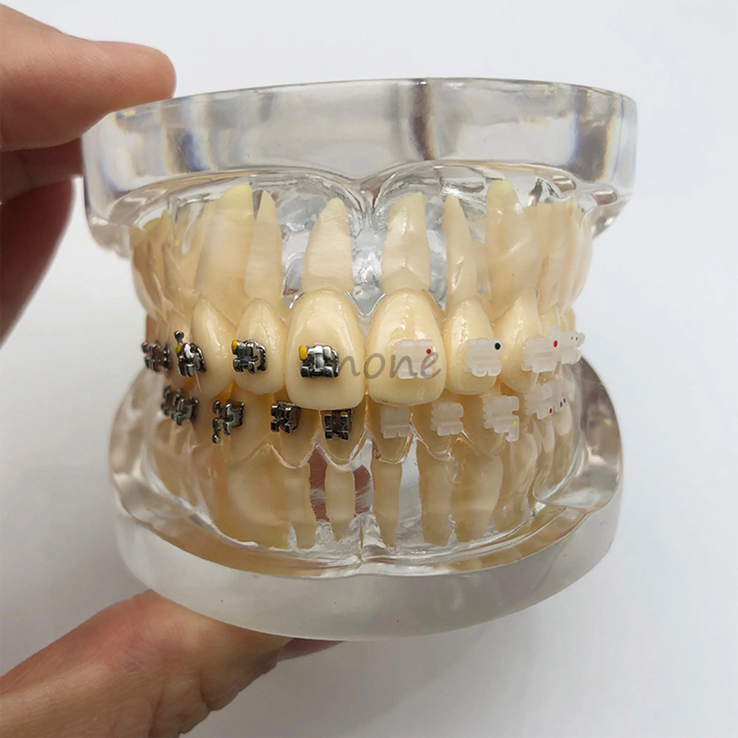 1 шт. Стоматологическая Ортодонтическая пластина для Typodont зубы модель в