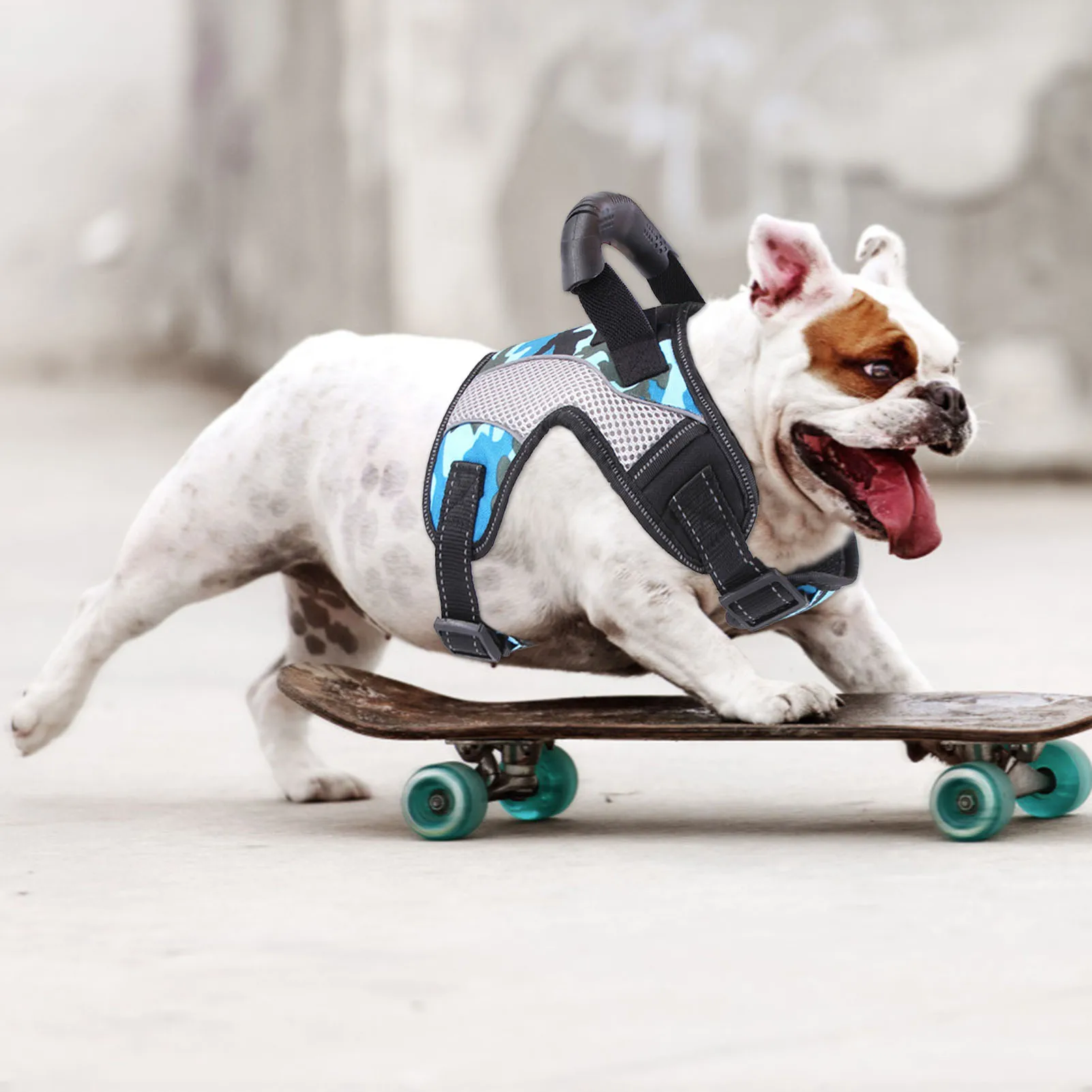 

Pet Harness Adjustable Protective Belt Strap With Webbing Handle Pet Supplies Medium And Large DogsDog CollarsPet Dogs