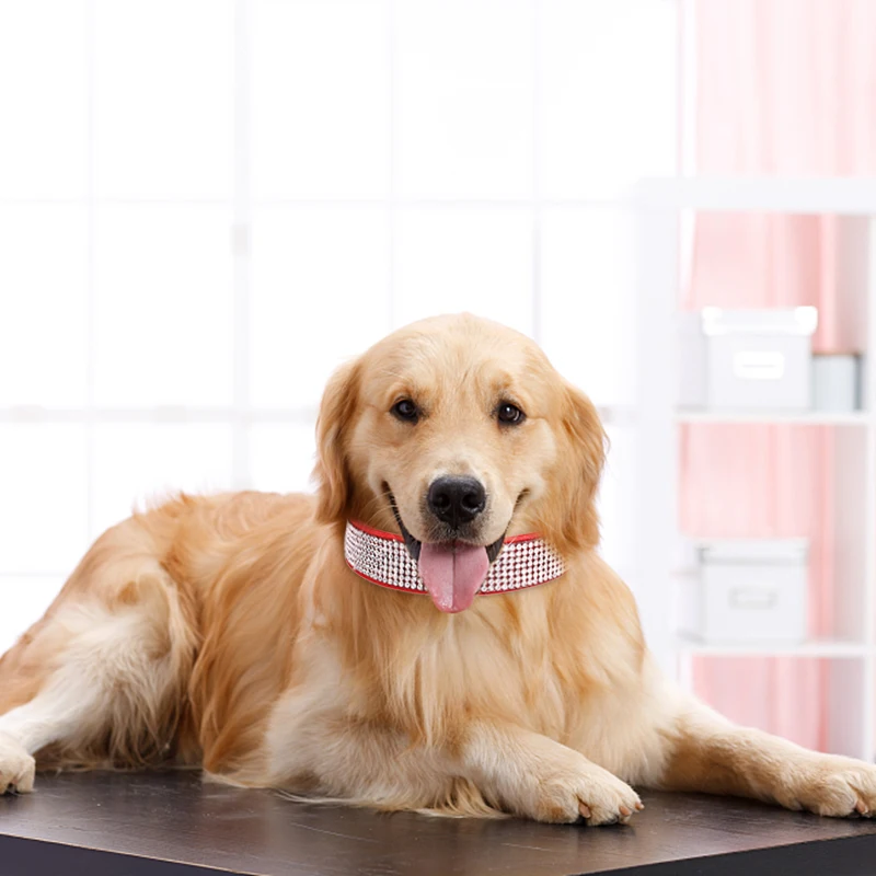 Шикарные Собачьи Ошейники со стразами из искусственной кожи для домашних