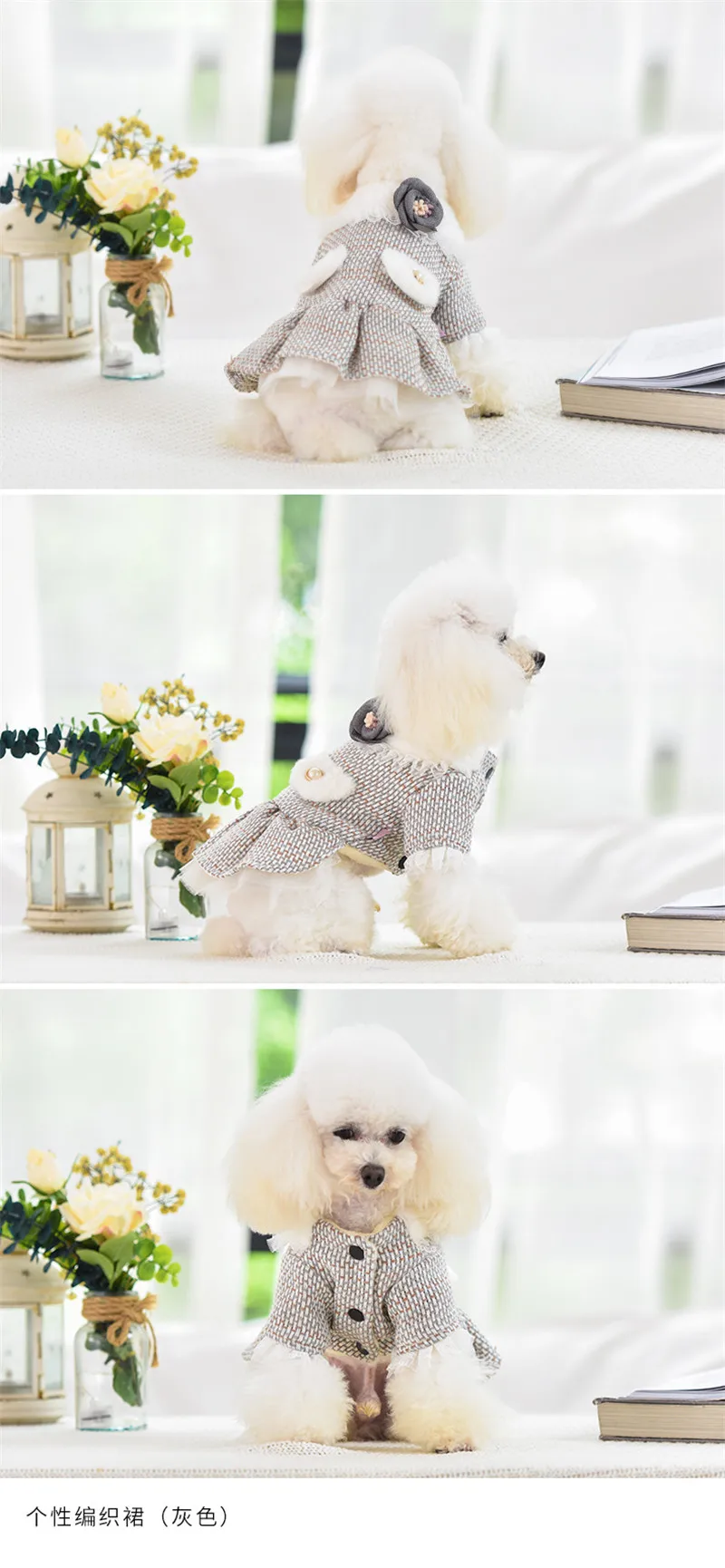 New Pet Dog Clothes Autumn and Winter New Teddy Small Dog Cat Warm Princess Dress Thickened Party Costume Dog Coat