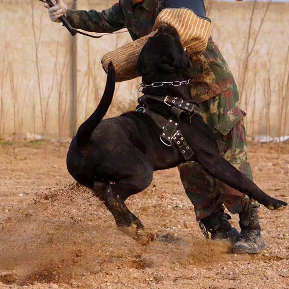 K9 прочная собачья шлейка и поводок для средних и больших собак сверхмощный Французский бульдог жгут жилет нейлоновый тренировочный собачий ободок для собаки